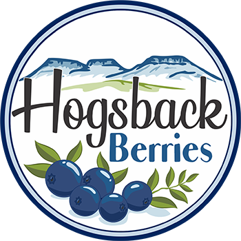 Hogsback Berries